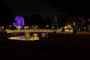 Legett Unity Bridge and Reflection Pond at Christmas